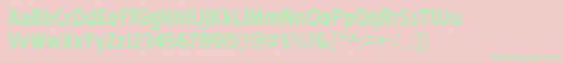 PakenhamrgBold-Schriftart – Grüne Schriften auf rosa Hintergrund