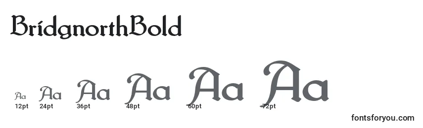 BridgnorthBold Font Sizes