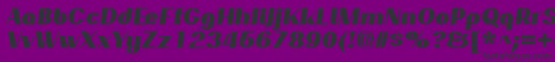PassionsanspdarBlackitalic Font – Black Fonts on Purple Background