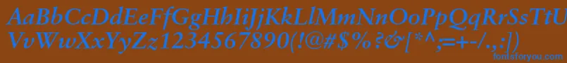 SaboncBolditalic Font – Blue Fonts on Brown Background