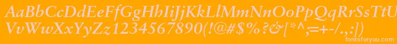 SaboncBolditalic Font – Pink Fonts on Orange Background