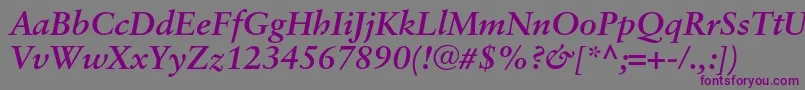 SaboncBolditalic Font – Purple Fonts on Gray Background