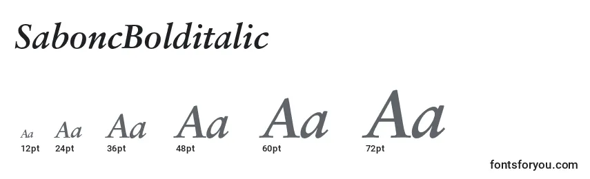 SaboncBolditalic Font Sizes