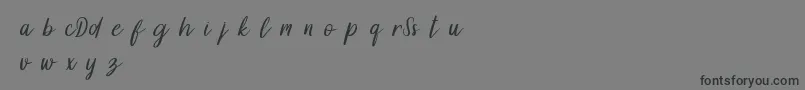DollynDemo Font – Black Fonts on Gray Background
