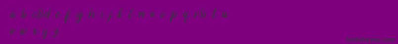 フォントDollynDemo – 紫の背景に黒い文字