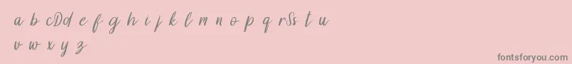 フォントDollynDemo – ピンクの背景に灰色の文字