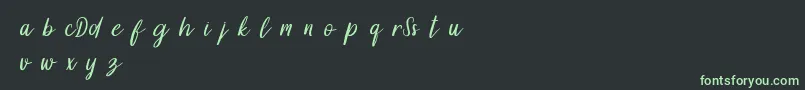 DollynDemo Font – Green Fonts on Black Background