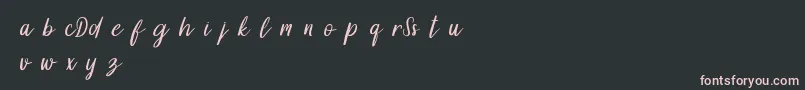 DollynDemo Font – Pink Fonts on Black Background