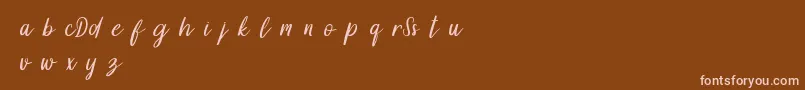 DollynDemo Font – Pink Fonts on Brown Background