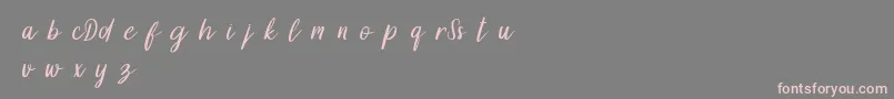 DollynDemo-Schriftart – Rosa Schriften auf grauem Hintergrund