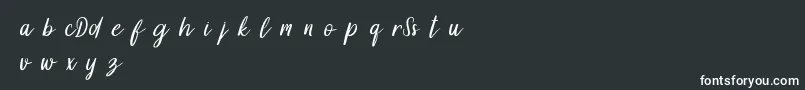 DollynDemo Font – White Fonts on Black Background