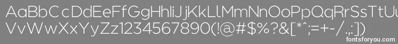 Regencielightalt Font – White Fonts on Gray Background