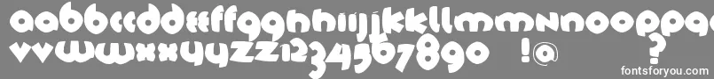 フォントTschichfsBlack – 灰色の背景に白い文字