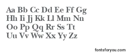 Review of the ItcNewBaskervilleLtBold Font