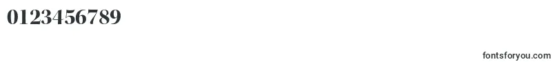 KeplerstdBolddisp Font – Fonts for Numbers and Digits
