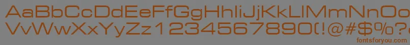 フォントStMicrosquareEx – 茶色の文字が灰色の背景にあります。