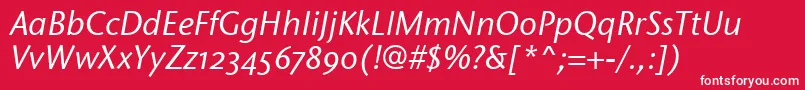 StoneSansOsItcTtMediumita Font – White Fonts on Red Background