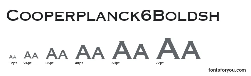 Размеры шрифта Cooperplanck6Boldsh