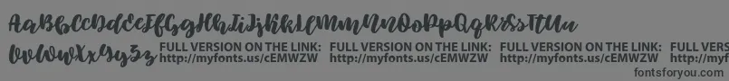 Elowen Font – Black Fonts on Gray Background