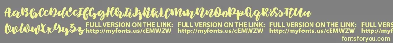 Elowen Font – Yellow Fonts on Gray Background