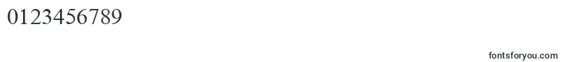 TimesNewRomanCyr Font – Fonts for Numbers and Digits