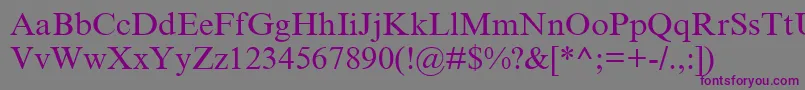 TimesNewRomanCyr Font – Purple Fonts on Gray Background