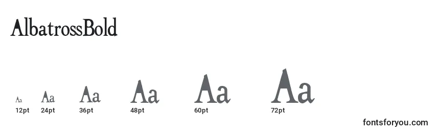 AlbatrossBold Font Sizes