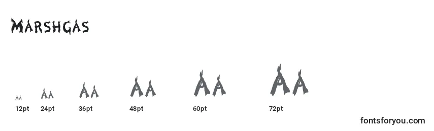 Marshgas Font Sizes