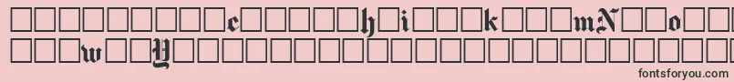 Newyorktimes Font – Black Fonts on Pink Background