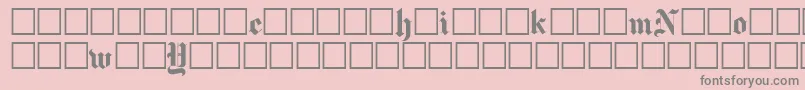 Newyorktimes Font – Gray Fonts on Pink Background