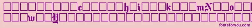 Newyorktimes Font – Purple Fonts on Pink Background