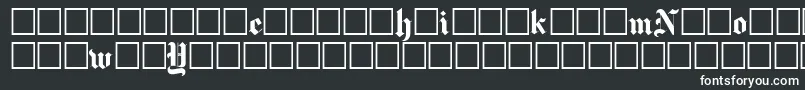 Newyorktimes-fontti – valkoiset fontit mustalla taustalla