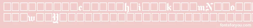 Newyorktimes Font – White Fonts on Pink Background