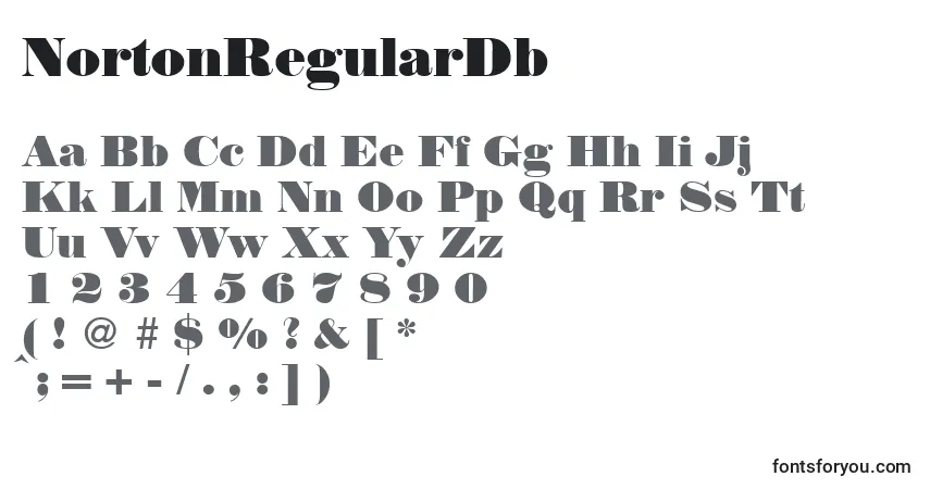 Czcionka NortonRegularDb – alfabet, cyfry, specjalne znaki