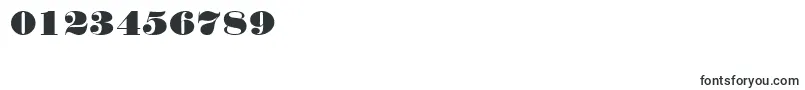 NortonRegularDb Font – Fonts for Numbers and Digits