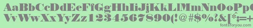 NortonRegularDb Font – Gray Fonts on Green Background