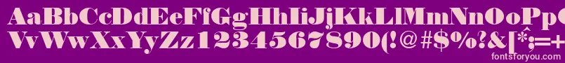 NortonRegularDb Font – Pink Fonts on Purple Background