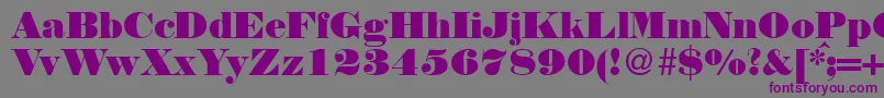 Weitere Informationen zur NortonRegularDb-Schriftart NortonRegularDb-Schriftart – Violette Schriften auf grauem Hintergrund