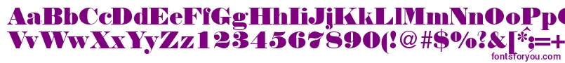 NortonRegularDb Font – Purple Fonts