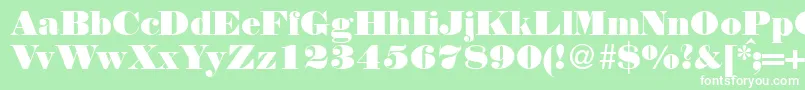 NortonRegularDb Font – White Fonts on Green Background