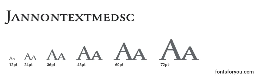 Размеры шрифта Jannontextmedsc