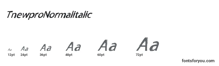 Размеры шрифта TnewproNormalitalic