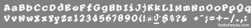 PointersistersBold Font – White Fonts on Gray Background