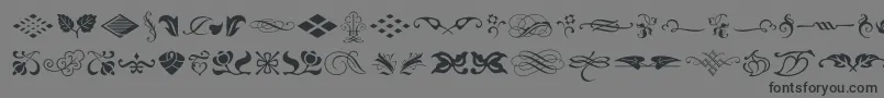 Saiba mais sobre a fonte TypeEmbellishmentsOneLetPlain.1.0 Fonte TypeEmbellishmentsOneLetPlain.1.0 – fontes pretas em um fundo cinza