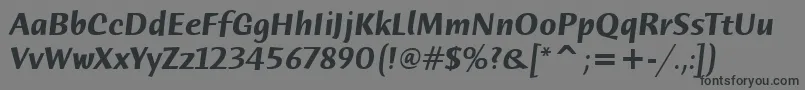 HumanaSansItcTtBolditalic Font – Black Fonts on Gray Background