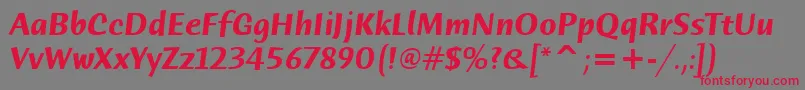 HumanaSansItcTtBolditalic Font – Red Fonts on Gray Background