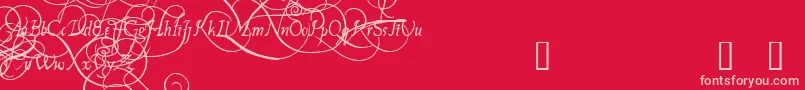 PlatthandDemo-Schriftart – Rosa Schriften auf rotem Hintergrund