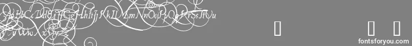 フォントPlatthandDemo – 灰色の背景に白い文字