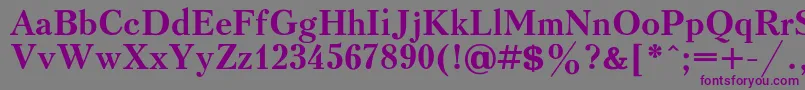 KudrashovcBold Font – Purple Fonts on Gray Background