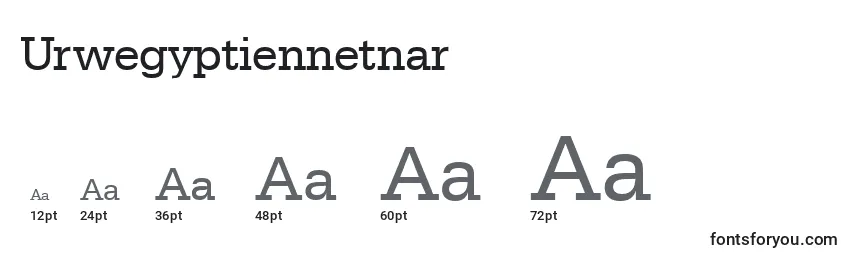 Размеры шрифта Urwegyptiennetnar